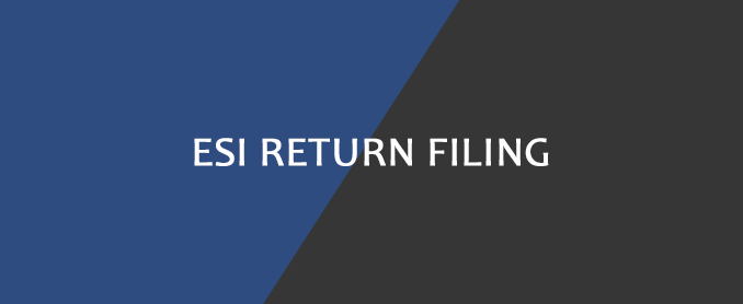 ESI Return Filing Services Delhi